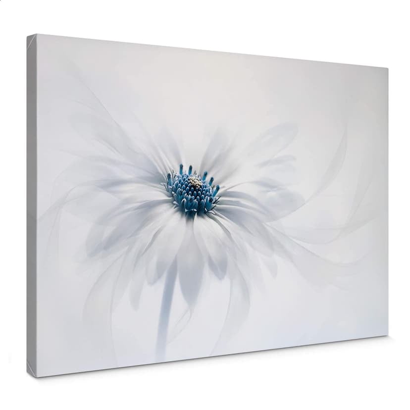 Stampa su tela Parker - Frozen Flower