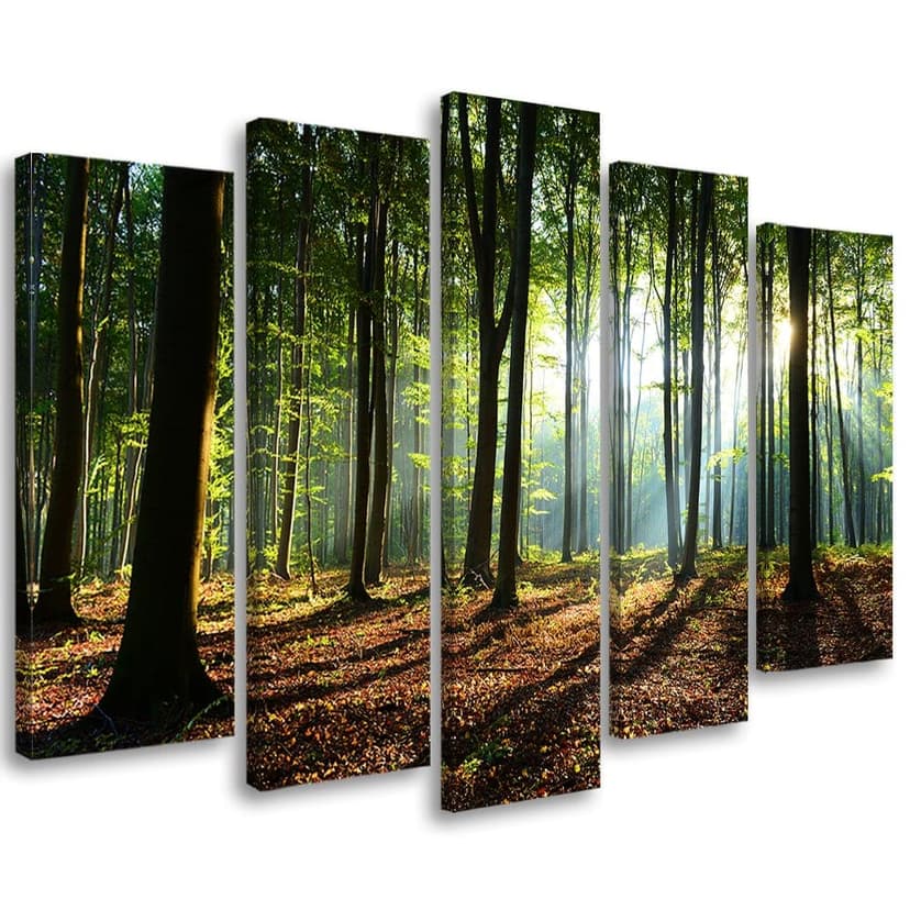 Stampa su tela 5 pezzi, natura verde foresta
