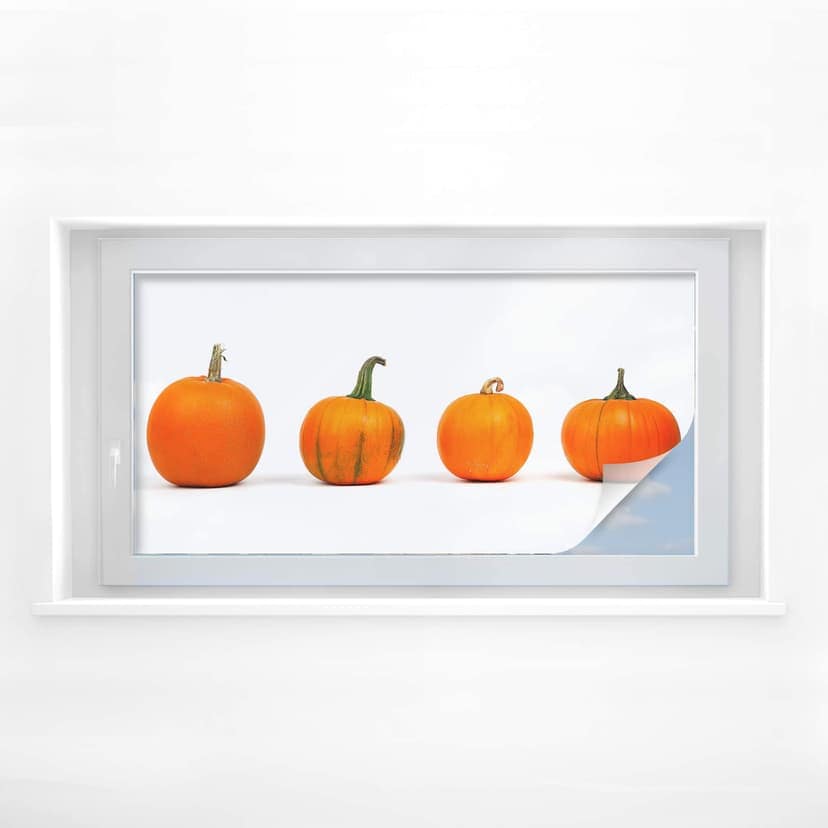 Pellicola adesiva per vetri - tipi di zucca (panoramica)