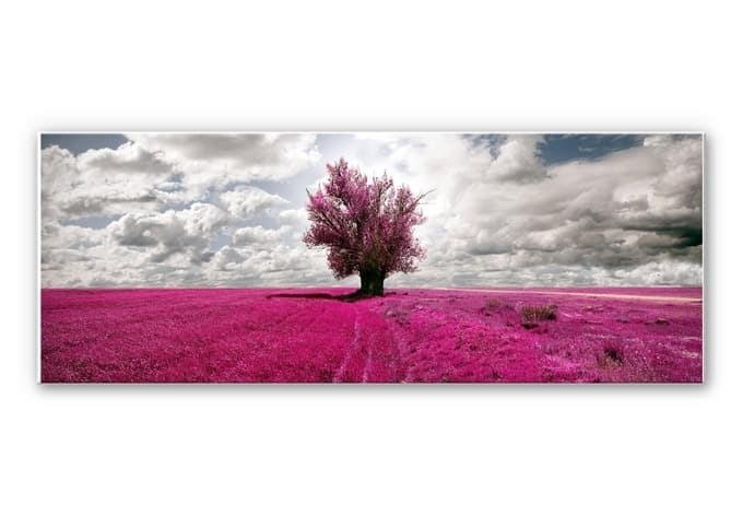 Stampa su Forex - L'albero solitario - panoramica
