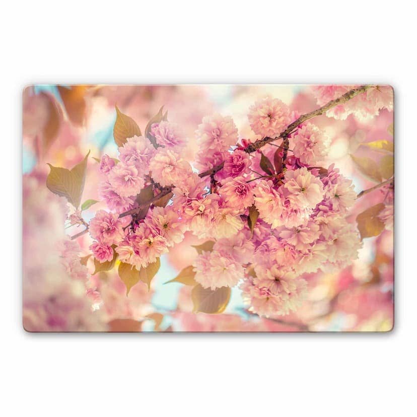 Stampa su vetro Delgado - Fiori di ciliegio