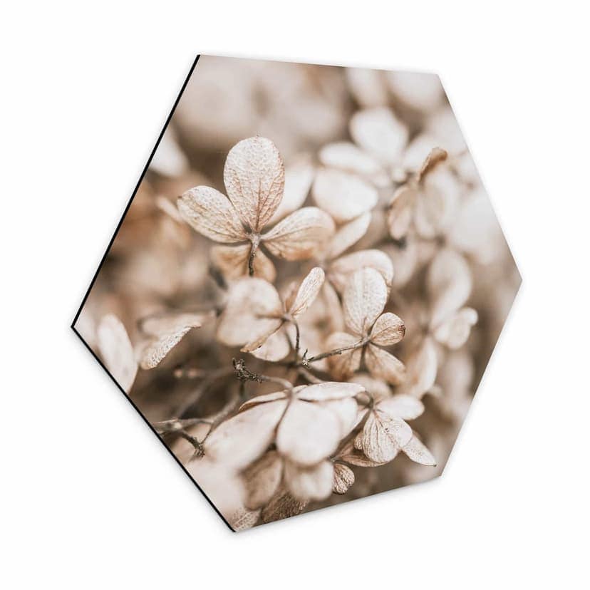 Esagoni Alu-Dibond Annie - Fiori di velluto