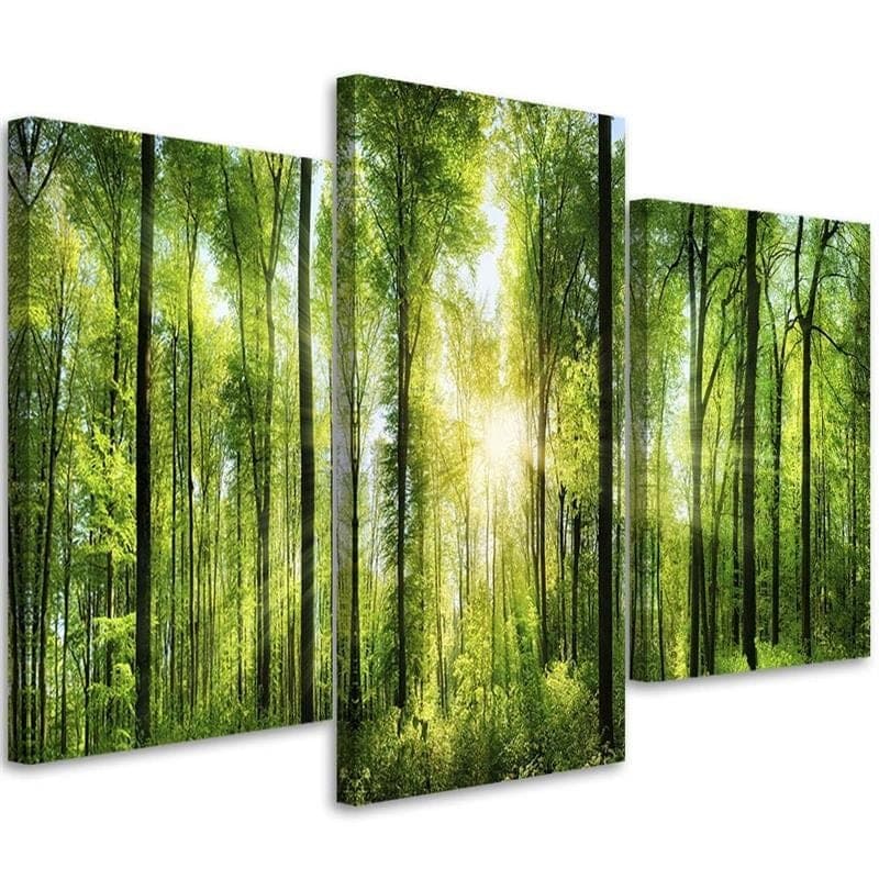 Stampa su tela 3 pezzi Foresta verde natura