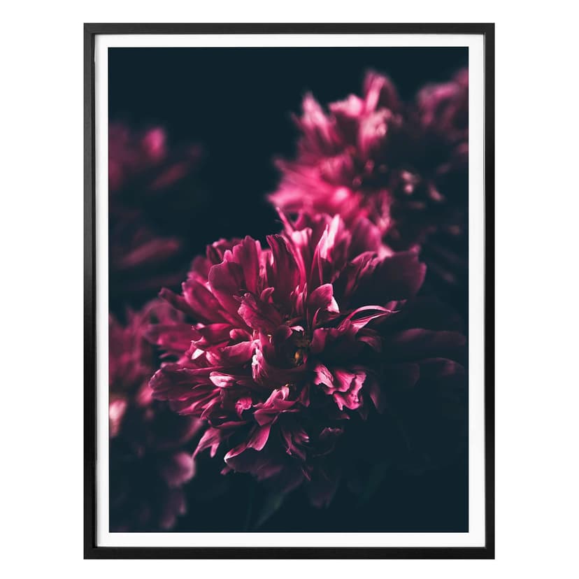 Poster Pink Flower Dream 01