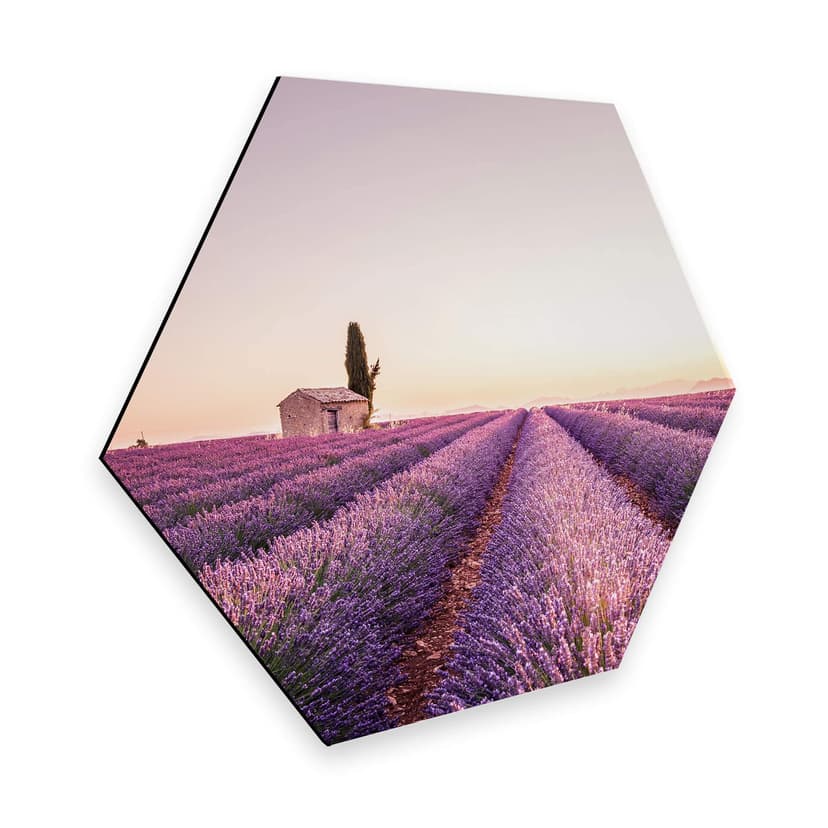 Esagoni Alu-Dibond - Lavanda