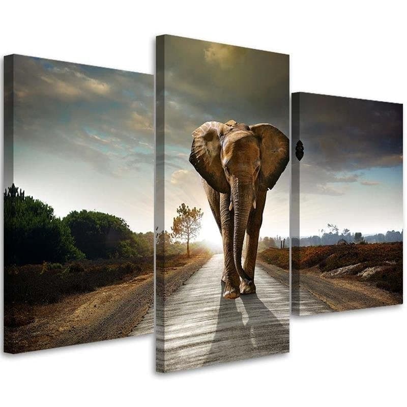 Stampa su tela 3 pezzi, Elefante sulla strada
