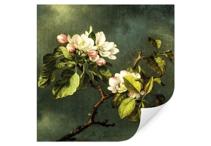 Wallprint Heade - Melo