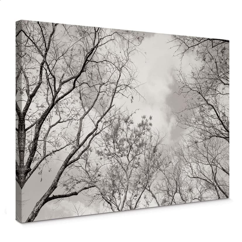 Stampa su tela - Alberi