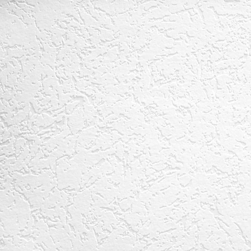 Architects Paper - carta da parati in TNT verniciabile Pigment Classic colore bianco