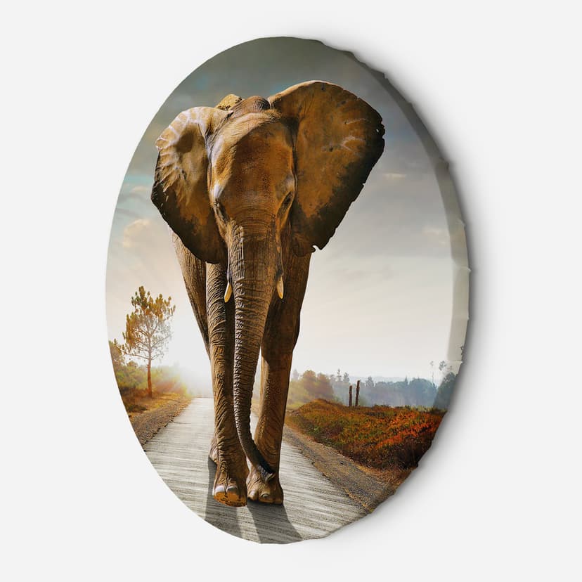 Quadro su tela rotonda Elefante sulla strada