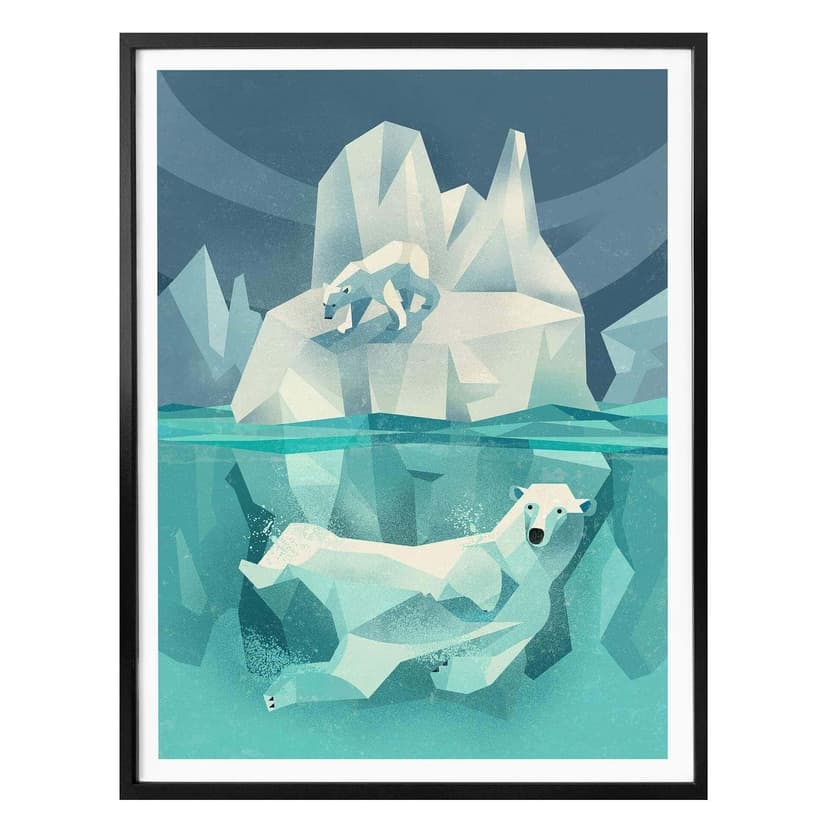 Poster Braun - Orso polare