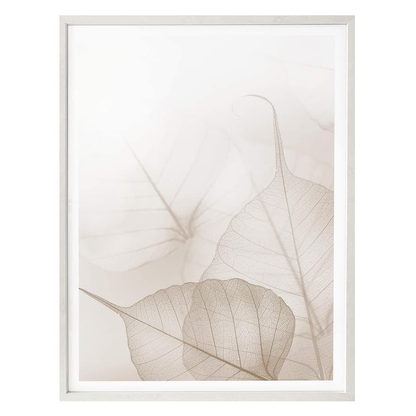 Poster - Foglie delicate