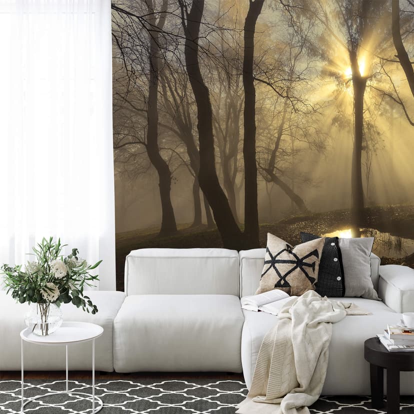 Fotomurale Cuadrado - Light - 432x260 cm