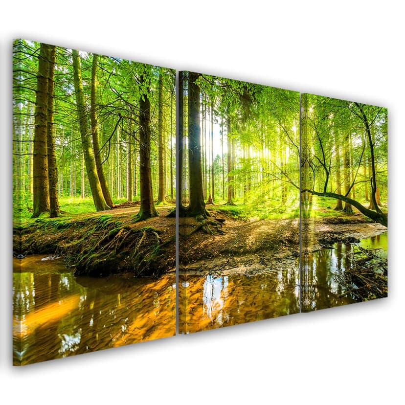 Stampa su tela 3 pezzi, Forest Lake Nature