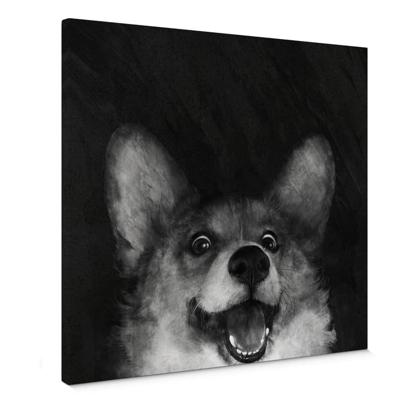 Stampa su tela Graves - Fox Corgi