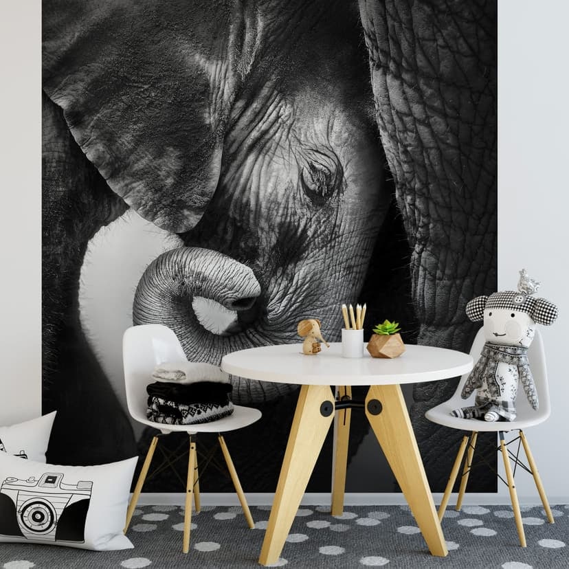 Fotomurale - Cucciolo di elefante