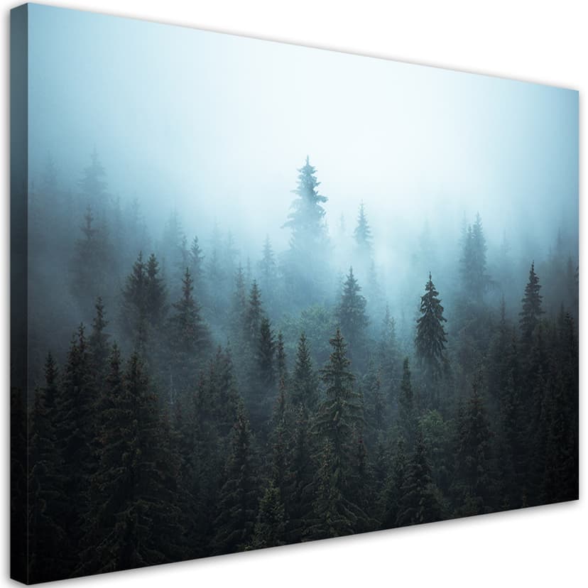 Stampe su tela, Foresta nella nebbia