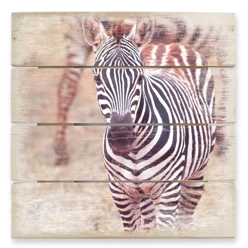 Stampa su legno - Puledro di zebra