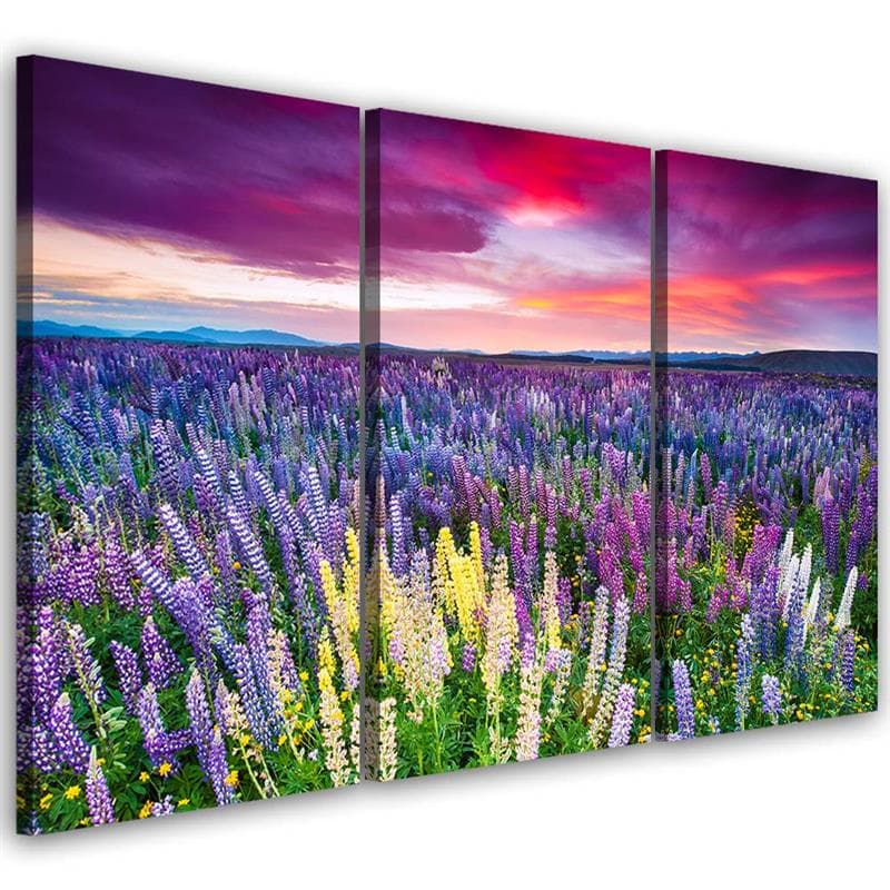 Stampa su tela 3 pezzi, campo di lavanda natura