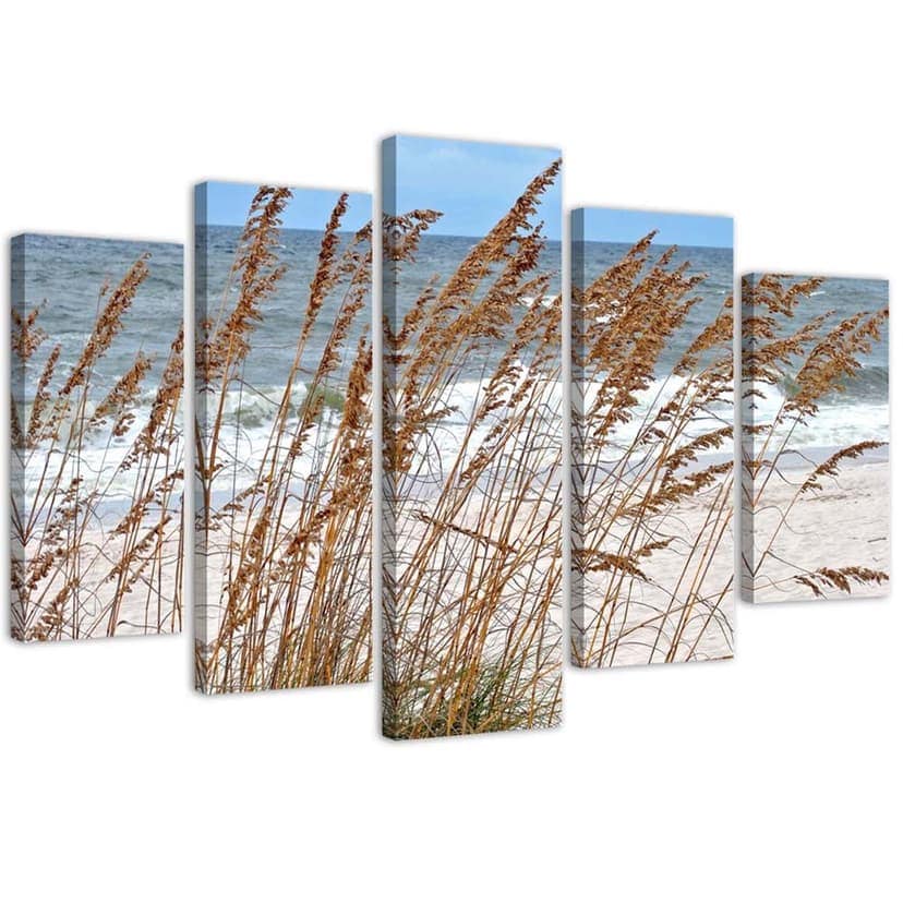 Stampa su tela 5 pezzi, dune di mare erbe