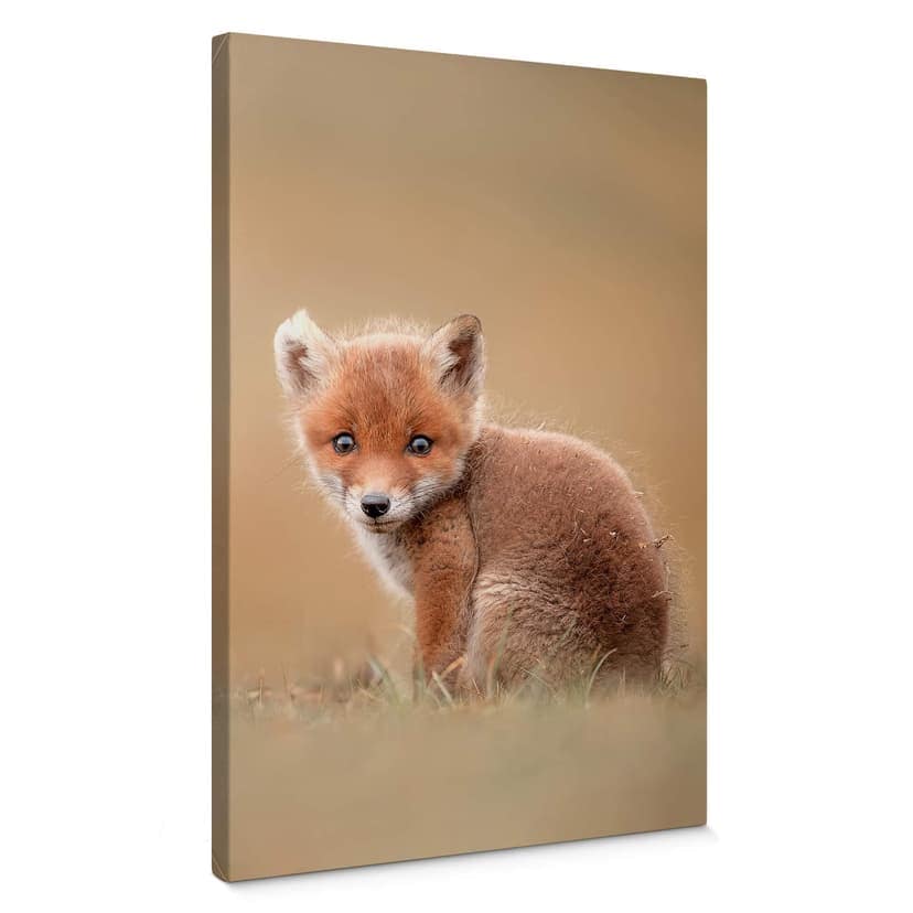 Stampa su tela van Duijn - Baby fox