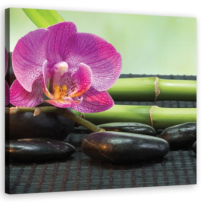 Stampe su tela, Orchidea su pietre nere