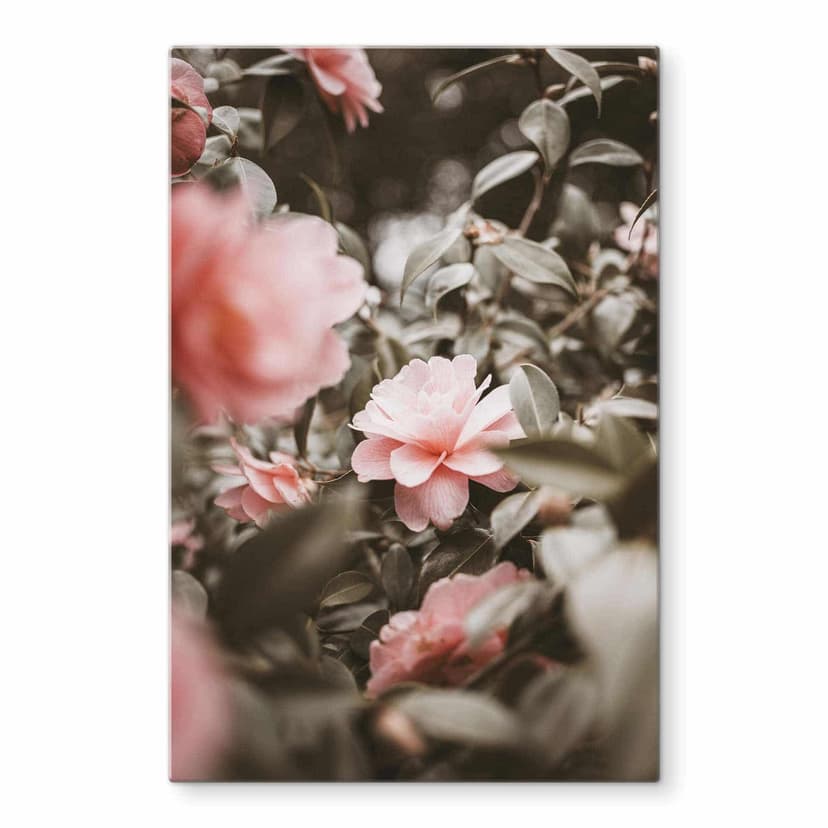 Stampa su vetro Annie - Rose