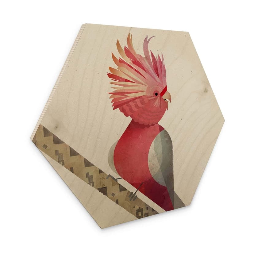Esagono in legno Braun - Cacatua rosa