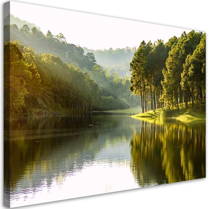 Stampe su tela, Paesaggio foresta albero natura