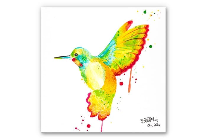 Stampa su Forex Buttafly - Colibrì - quadrato