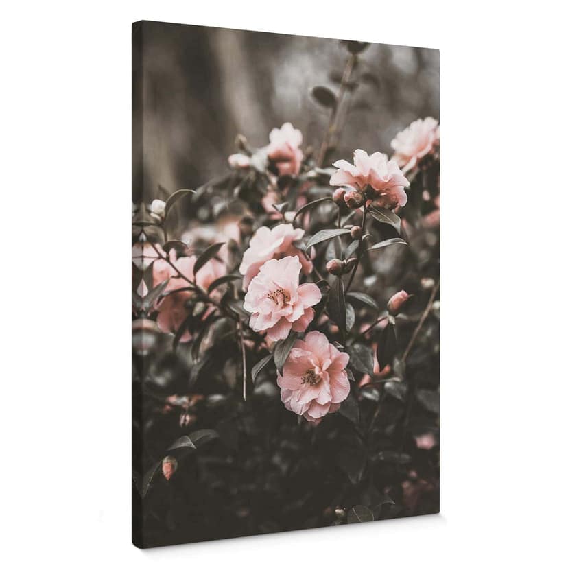 Stampa su tela Annie - Rose