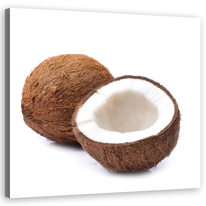 Stampe su tela, noce di cocco