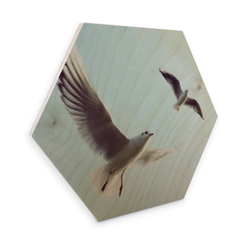 Esagoni legno - Gabbiani
