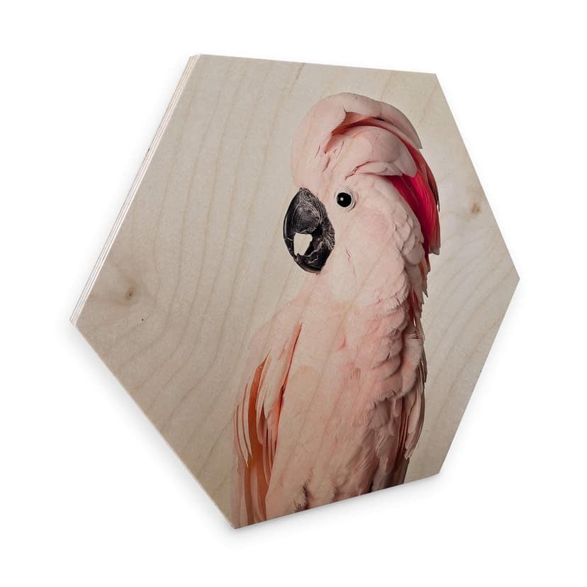 Esagoni in legno Sisi & Seb - Rosa