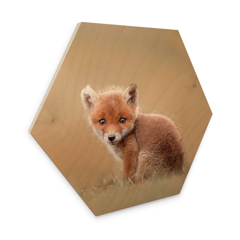 Esagono in legno van Duijn - Baby fox