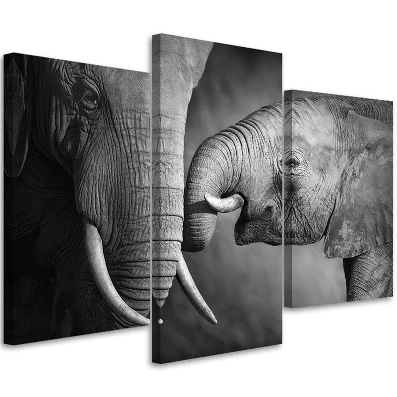 Stampa su tela 3 pezzi Elefante in bianco e nero