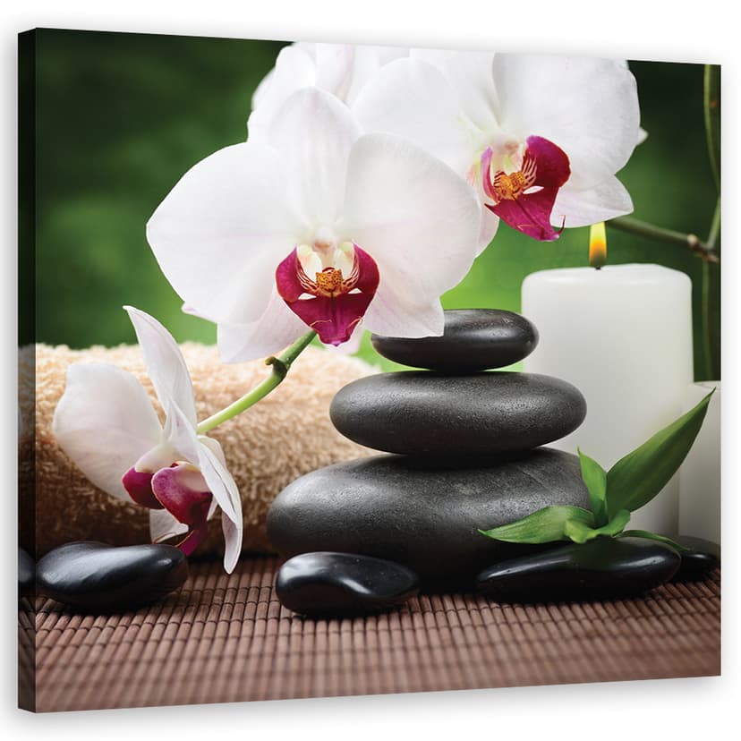 Stampe su tela, fiori di orchidea Zen