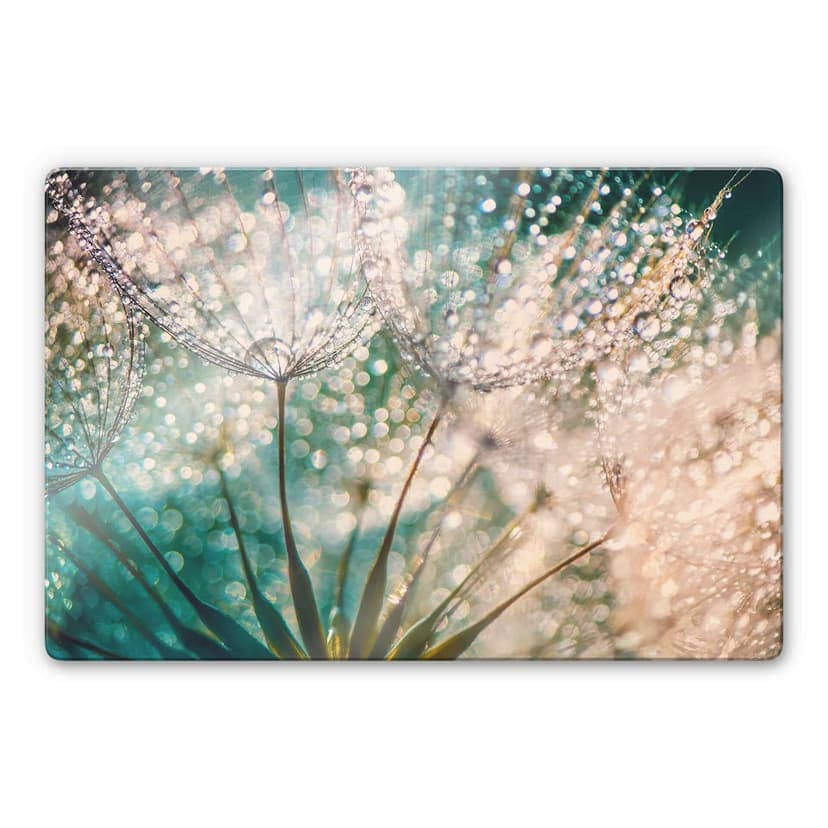 Glasbild Delgado - Funkelnde Pusteblume