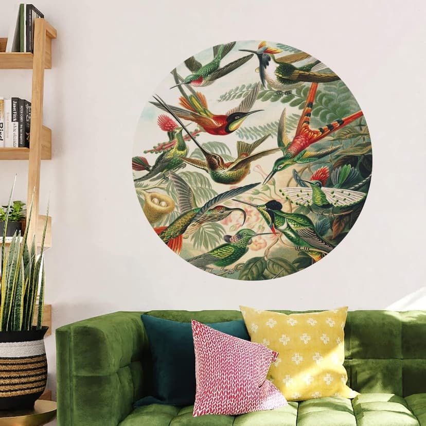 Adesivo murale Haeckel - Colibrì - Rotondo