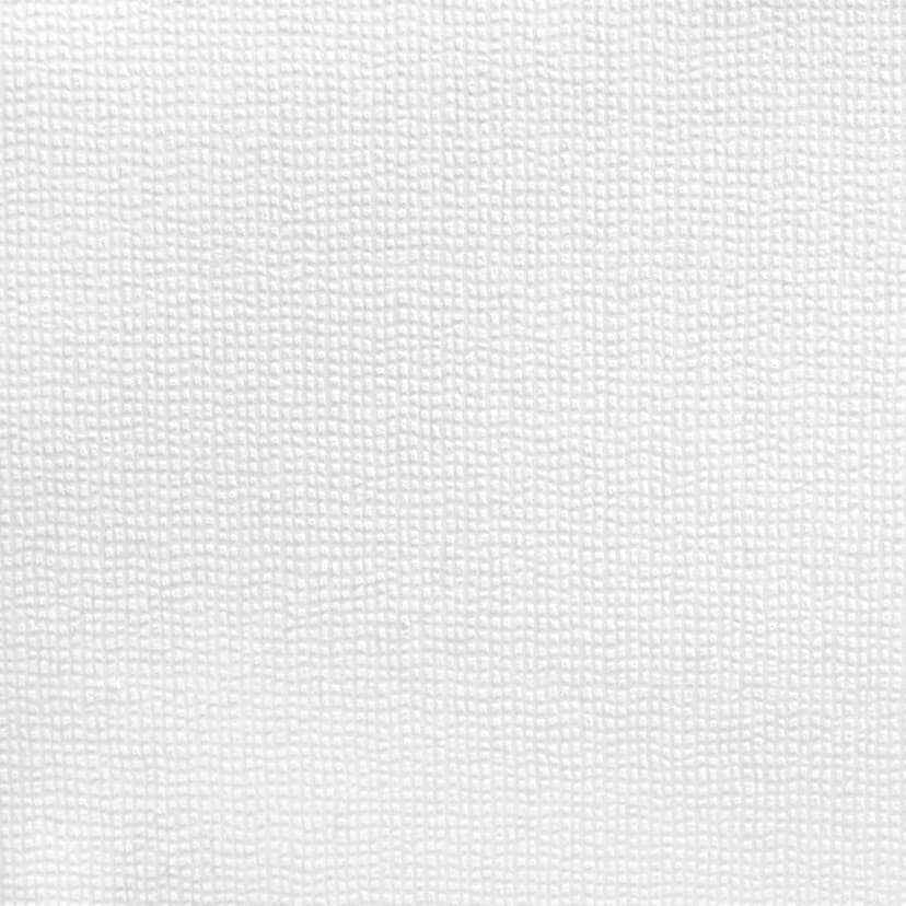 Architects Paper - carta da parati in TNT verniciabile Pigment ECO colore bianco