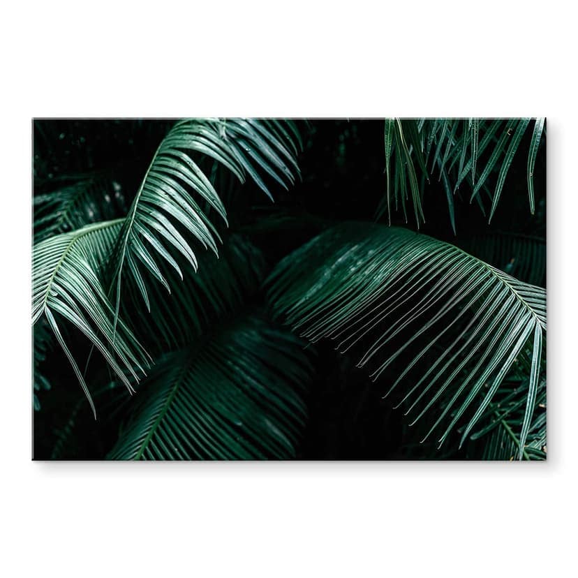 Stampa su vetro acrilico in vetro Botanica tropicale