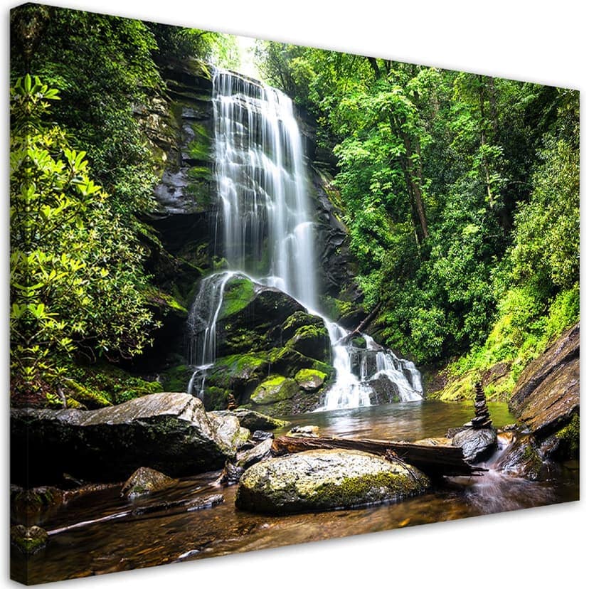 Stampe su tela, cascata in una foresta verde