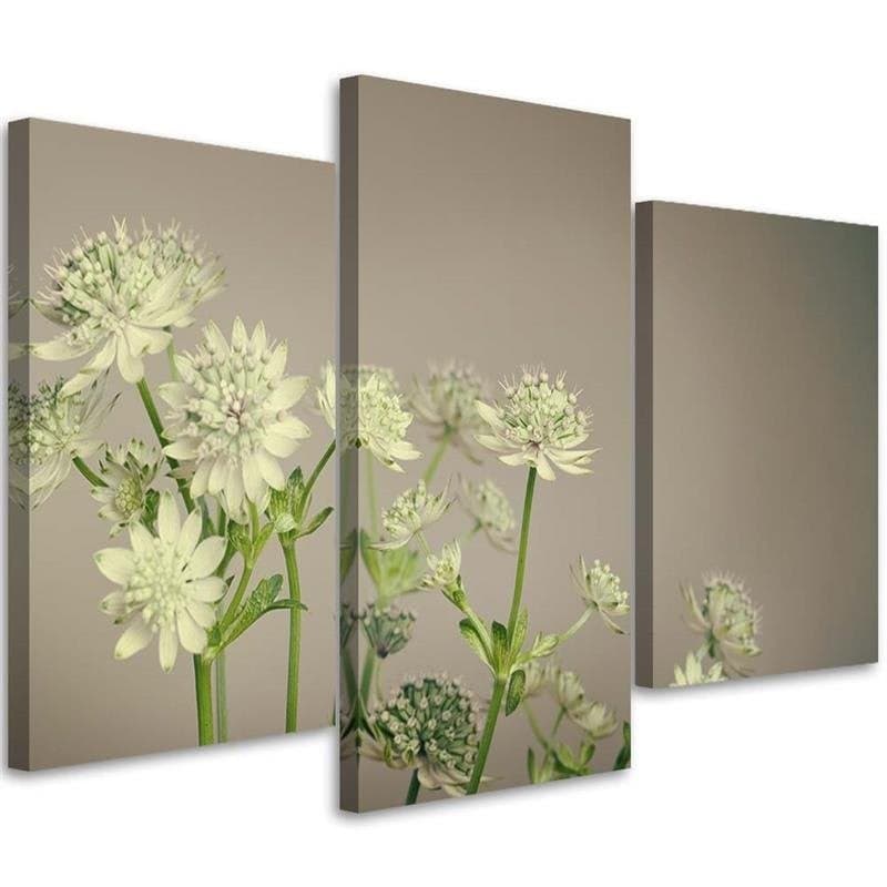 Stampa su tela 3 pezzi, fiori di campo bianchi