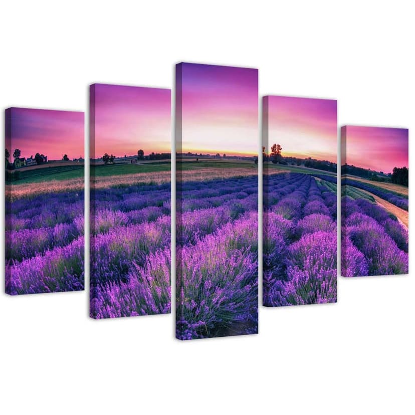 Stampa su tela 5 pezzi, campo viola lavanda
