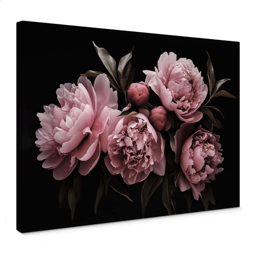 Stampa su tela Peonia rosa - Haase