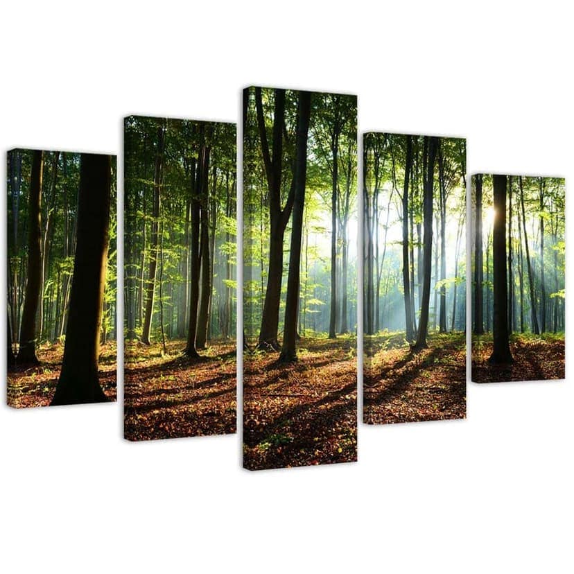 Stampa su tela 5 pezzi, natura verde foresta
