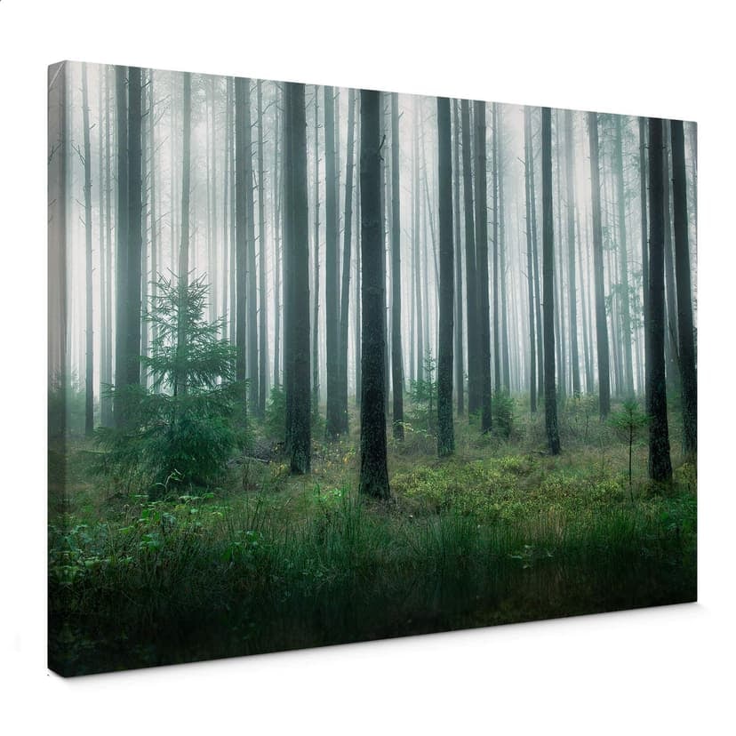 Stampa su tela Lindsten - Foresta