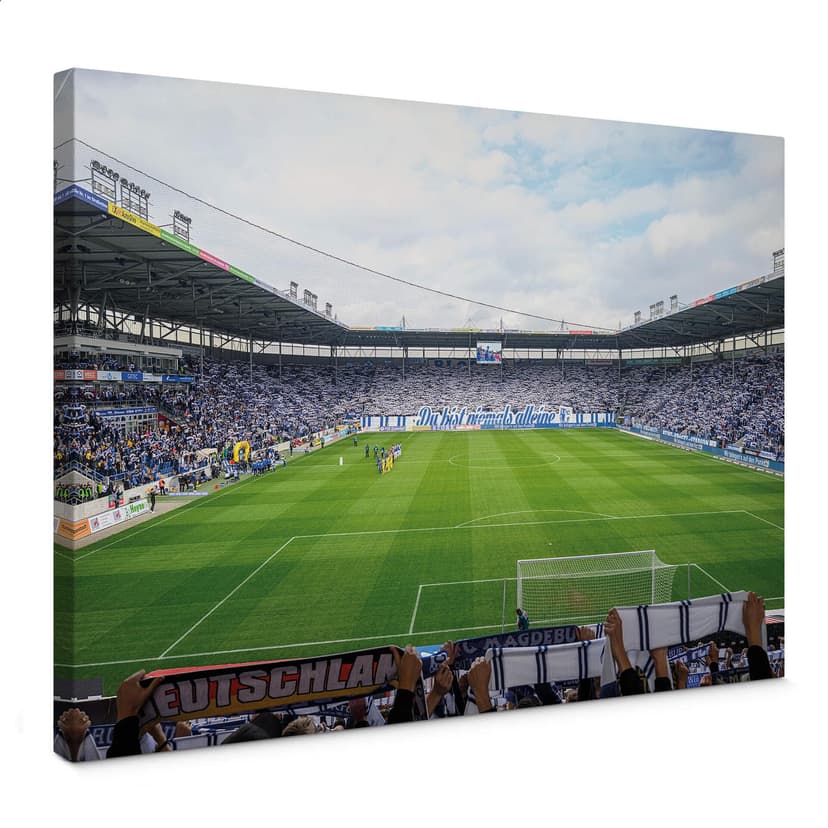 Stampa su tela FC Magdeburg Fans