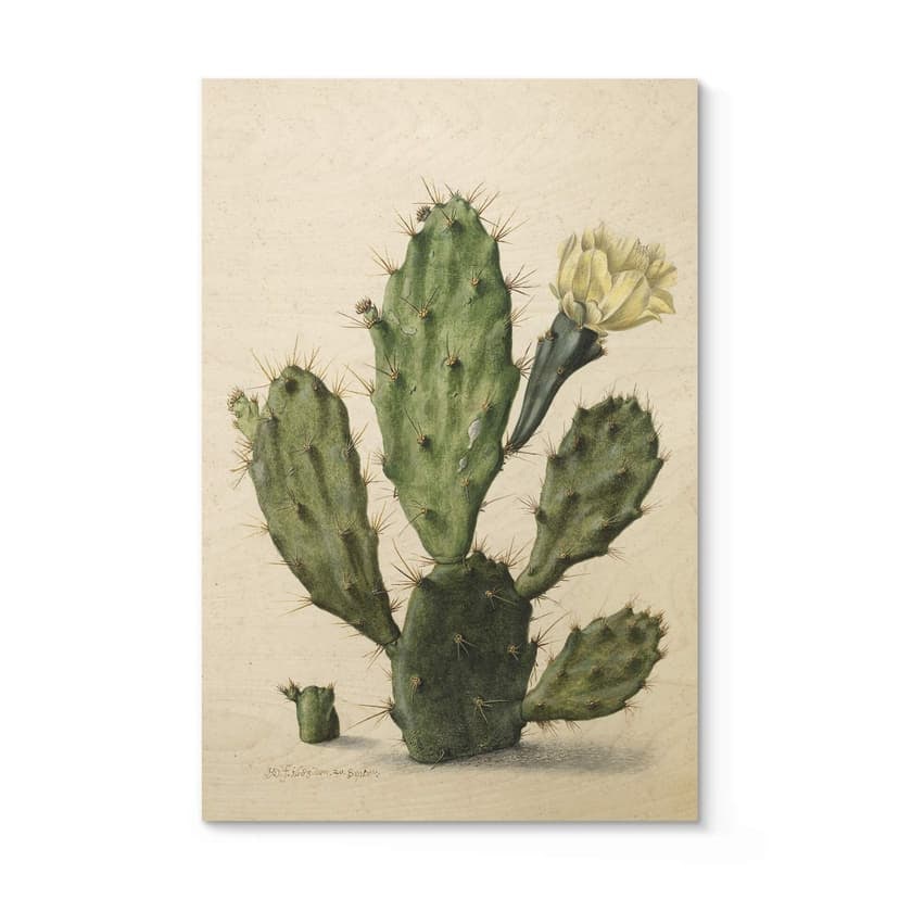 Stampa su legno Saftleven - Cactus