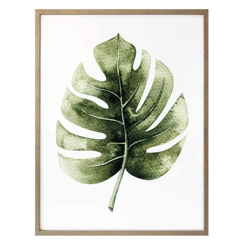 Poster Kvilis - Monstera foglia